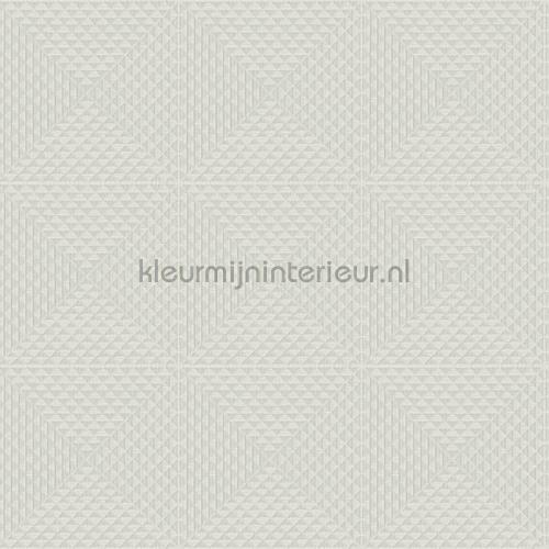 Hookedonwalls New Wave 24829 | Bestellen bij https://www.kleurmijninterieur.nl/