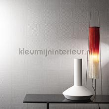 Hookedonwalls New Wave 24829 | Bestellen bij https://www.kleurmijninterieur.nl/