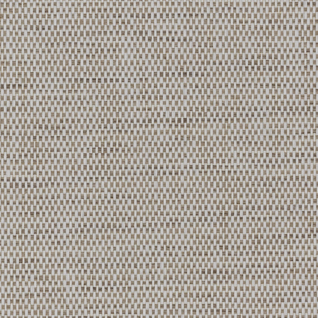 TRU84 | kleurmijninterieur