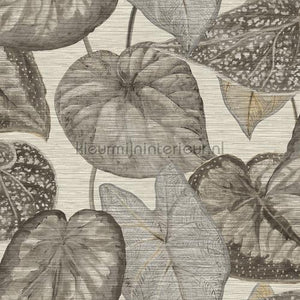 Hookedonwalls Tahiti TA25050 | Bestellen bij https://www.kleurmijninterieur.nl/