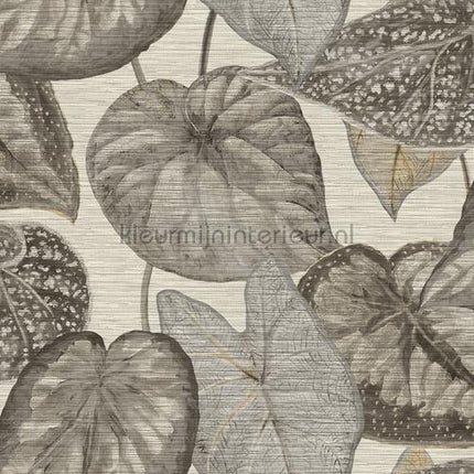 Hookedonwalls Tahiti TA25050 | Bestellen bij https://www.kleurmijninterieur.nl/