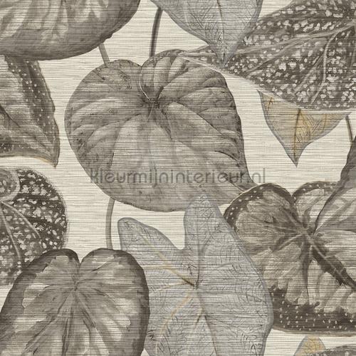 Hookedonwalls Tahiti TA25050 | Bestellen bij https://www.kleurmijninterieur.nl/
