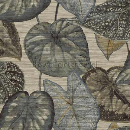 Hookedonwalls Tahiti TA25051 | Bestellen bij https://www.kleurmijninterieur.nl/