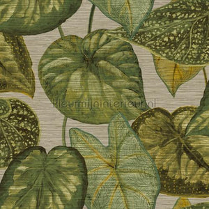 Hookedonwalls Tahiti TA25052 | Bestellen bij https://www.kleurmijninterieur.nl/