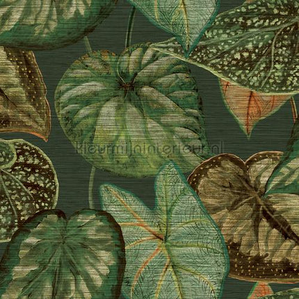 Hookedonwalls Tahiti TA25054 | Bestellen bij https://www.kleurmijninterieur.nl/