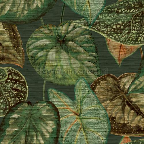 Hookedonwalls Tahiti TA25054 | Bestellen bij https://www.kleurmijninterieur.nl/