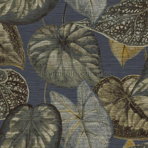 Hookedonwalls Tahiti TA25055 | Bestellen bij https://www.kleurmijninterieur.nl/