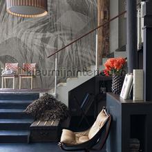 Noordwand Vanilla Lime 14284 | Bestellen bij https://www.kleurmijninterieur.nl/