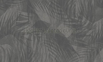 Noordwand Vanilla Lime 14286 | Bestellen bij https://www.kleurmijninterieur.nl/