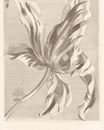 Eijffinger Wallpower Favourites 309032 | Bestellen bij https://www.kleurmijninterieur.nl/