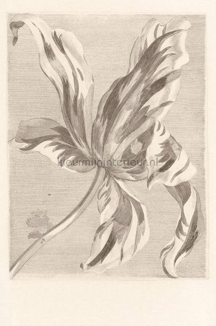 Eijffinger Wallpower Favourites 309032 | Bestellen bij https://www.kleurmijninterieur.nl/
