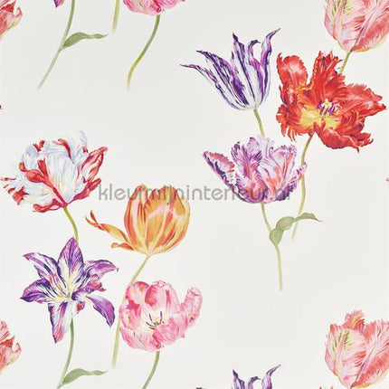 Sanderson Glasshouse 216666 | Bestellen bij https://www.kleurmijninterieur.nl/