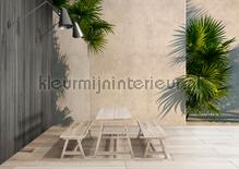 AS Creation Walls by Patel 3 DD122836 | Bestellen bij https://www.kleurmijninterieur.nl/