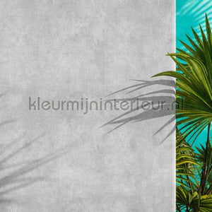 AS Creation Walls by Patel 3 DD122840 | Bestellen bij https://www.kleurmijninterieur.nl/