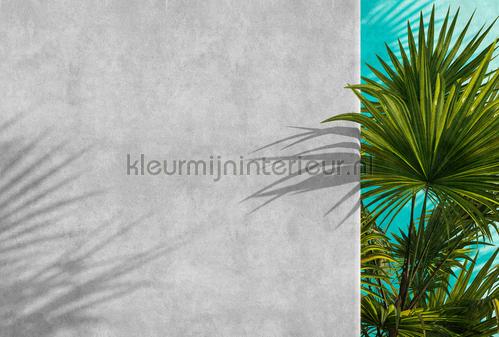AS Creation Walls by Patel 3 DD122840 | Bestellen bij https://www.kleurmijninterieur.nl/