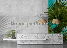 AS Creation Walls by Patel 3 DD122840 | Bestellen bij https://www.kleurmijninterieur.nl/