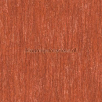 Hookedonwalls Caribbean 27235 | Bestellen bij https://www.kleurmijninterieur.nl/