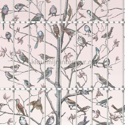 Cole and Son Fornasetti 114-11022 | Bestellen bij https://www.kleurmijninterieur.nl/