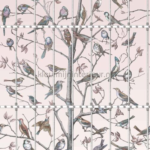 Cole and Son Fornasetti 114-11022 | Bestellen bij https://www.kleurmijninterieur.nl/