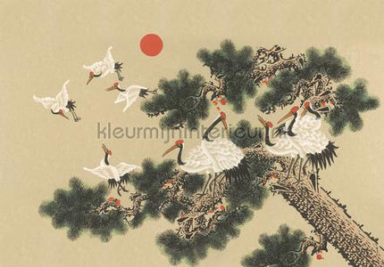Coordonne Random Chinoiseries 7900070 | Bestellen bij https://www.kleurmijninterieur.nl/