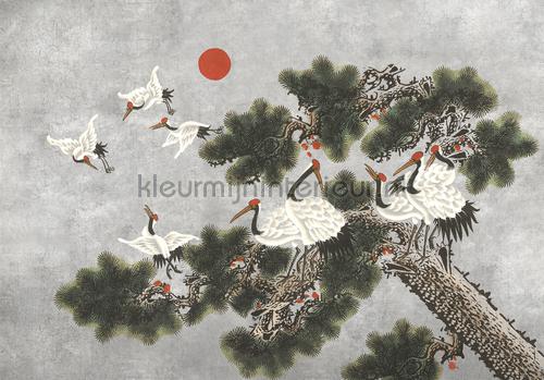 Coordonne Random Chinoiseries 7900071 | Bestellen bij https://www.kleurmijninterieur.nl/