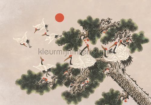 Coordonne Random Chinoiseries 7900072 | Bestellen bij https://www.kleurmijninterieur.nl/