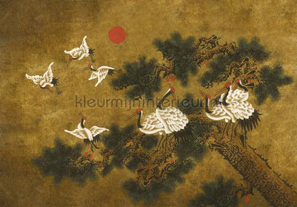 Coordonne Random Chinoiseries 7900073 | Bestellen bij https://www.kleurmijninterieur.nl/