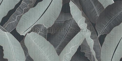 AS Creation Walls by Patel 3 DD122960 | Bestellen bij https://www.kleurmijninterieur.nl/