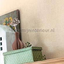 Caselio XXL XXL68521289 | Bestellen bij https://www.kleurmijninterieur.nl/