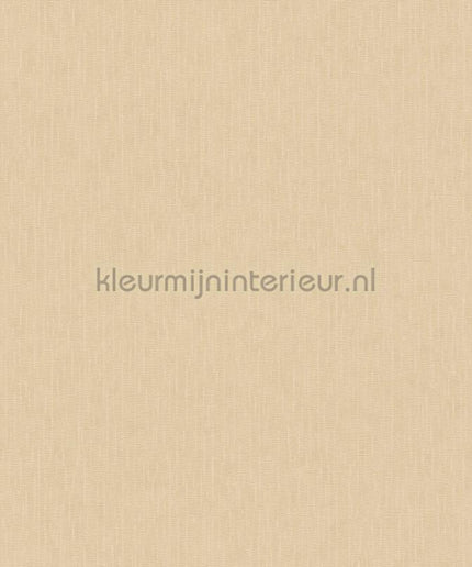 Versace wallpaper Versace 5 383833 | Bestellen bij https://www.kleurmijninterieur.nl/