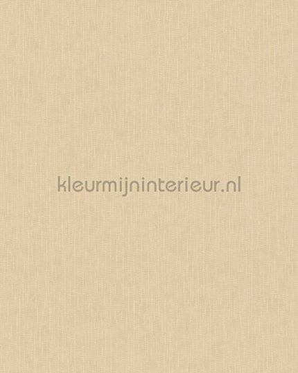 Versace wallpaper Versace 5 383833 | Bestellen bij https://www.kleurmijninterieur.nl/