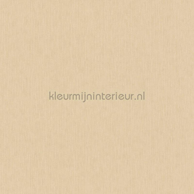 Versace wallpaper Versace 5 383833 | Bestellen bij https://www.kleurmijninterieur.nl/