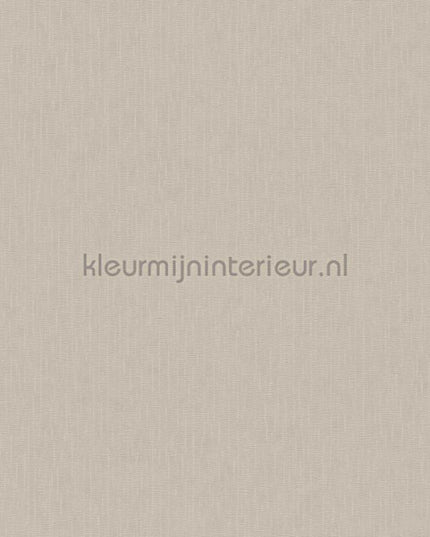 Versace wallpaper Versace 5 383834 | Bestellen bij https://www.kleurmijninterieur.nl/