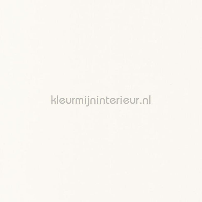 Caselio XXL XXL68520000 | Bestellen bij https://www.kleurmijninterieur.nl/