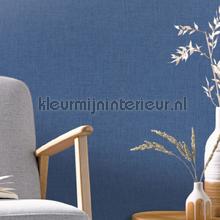 Caselio XXL XXL68526479 | Bestellen bij https://www.kleurmijninterieur.nl/