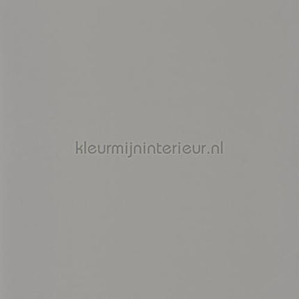 Casadeco Rose and Nino RONI69869528 | Bestellen bij https://www.kleurmijninterieur.nl/