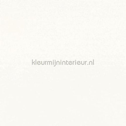 Bodaq Uni s208 | Bestellen bij https://www.kleurmijninterieur.nl/