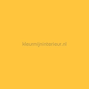 Bodaq Uni s146 | Bestellen bij https://www.kleurmijninterieur.nl/