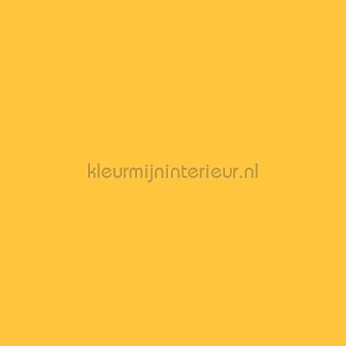 Bodaq Uni s146 | Bestellen bij https://www.kleurmijninterieur.nl/