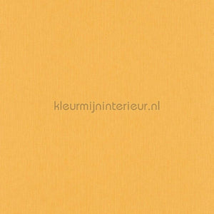 Versace wallpaper Versace 5 383845 | Bestellen bij https://www.kleurmijninterieur.nl/