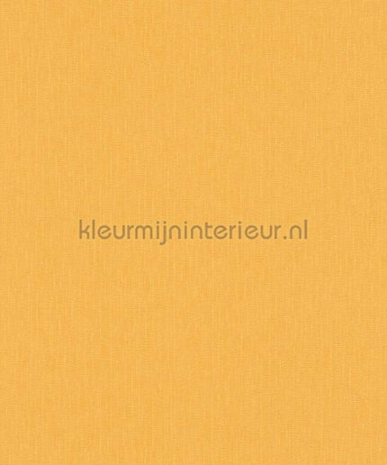 Versace wallpaper Versace 5 383845 | Bestellen bij https://www.kleurmijninterieur.nl/