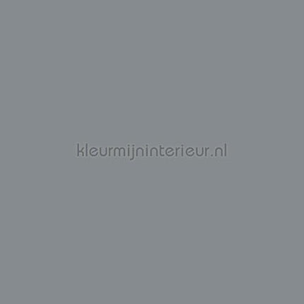Bodaq Uni s198 | Bestellen bij https://www.kleurmijninterieur.nl/