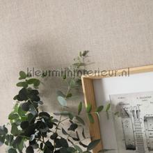 Caselio Linen Edition LNE68529173 | Bestellen bij https://www.kleurmijninterieur.nl/