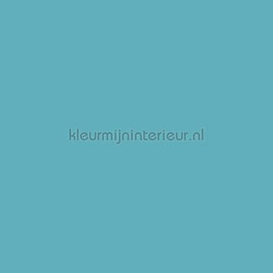 Bodaq Uni s175 | Bestellen bij https://www.kleurmijninterieur.nl/