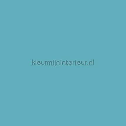 Bodaq Uni s175 | Bestellen bij https://www.kleurmijninterieur.nl/