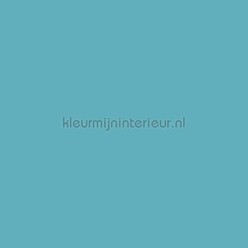 Bodaq Uni s175 | Bestellen bij https://www.kleurmijninterieur.nl/