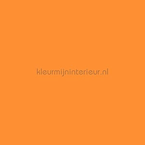 Bodaq Uni s169 | Bestellen bij https://www.kleurmijninterieur.nl/