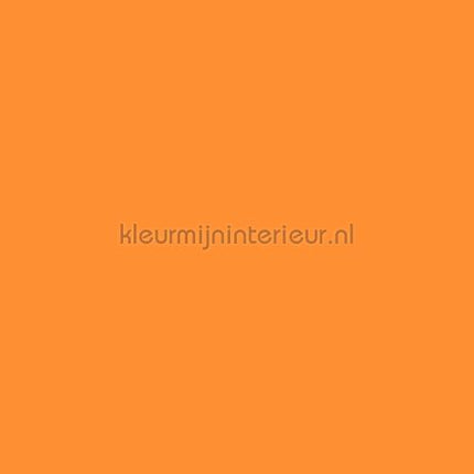 Bodaq Uni s169 | Bestellen bij https://www.kleurmijninterieur.nl/