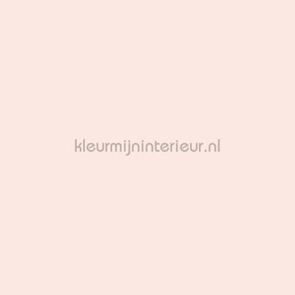 Bodaq Uni s217 | Bestellen bij https://www.kleurmijninterieur.nl/