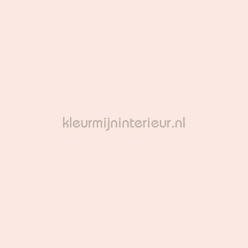 Bodaq Uni s217 | Bestellen bij https://www.kleurmijninterieur.nl/